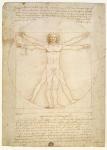 The Proportions of the human figure (after Vitruvius), c.1492 (pen & ink on paper)