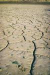 Dried and cracked ground when water supply at low level, Zahara - el Gastor reservoir, Cadiz Province, Andalusia, Southern Spain (photo)