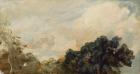 Cloud Study with Trees, 1821 (oil on paper laid down on board)