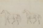 Two horses walking left (graphite on paper)