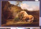 A Horse Frightened by a Lion, c.1790-5 (oil on canvas)