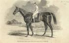 'Sir Tatton Sykes', Winner of the St. Leger, from 'The Illustrated London News', 26th September 1846 (engraving)