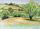 Suffolk Landscape, view from Dalham Church, 2011, water colour