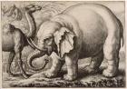 An Elephant and a Camel, engraved by Wenceslaus Hollar (1607-77) 1663 (etching)