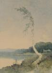 Silver Birch by a Lake, 1845 (w/c on paper)