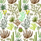 Cacti Pattern