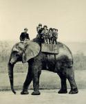 A Farewell Ride on Jumbo, from 'The Illustrated London News', 18th March 1882 (engraving)