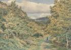 A Road near Bettws-y-Coed, 1851 (w/c over graphite on paper)