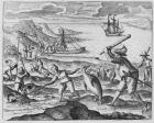 Penguin hunting, 1598 (engraving)