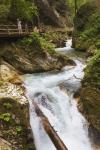 Visitors walking on wooden walkways which run the length of the Vintgar Gorge near Bled, Triglav, National Park, Upper Carniola, Slovenia (photo)