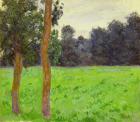 Deux Arbres dans la Prairie, 1886 (oil on canvas)