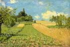 The Cornfield (near Argenteuil) (oil on canvas)