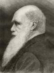 Charles Darwin, from 'Nuestro Siglo', published Barcelona, 1883 (litho)