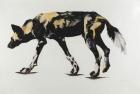 Large African Wild Dog III, 2015, (Charcoal and pastel on paper)