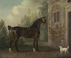 Lord Abergavenny's Dark Bay Carriage Horse with a Terrier, 1785 (oil on canvas)