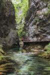 Visitors walking on wooden walkways which run the length of the Vintgar Gorge near Bled, Triglav, National Park, Upper Carniola, Slovenia (photo)