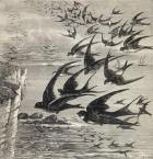 Annual migration of swallows, from 'Our Own Magazine', published 1885 (engraving)