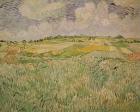 The Plain at Auvers, 1890 (oil on canvas)