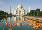 View of the Taj Mahal (photo)