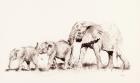 Elephant family, 2014 (pencil on paper)