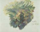 A Study of Ferns, Citivella, 1842, (oil on gray wove paper)