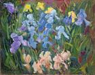 Irises: Pink, Blue and Gold, 1993