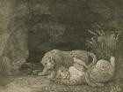 Tygers at Play, engraved by the artist, pub. 1789 (etching)