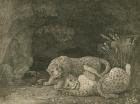 Tygers at Play, engraved by the artist, pub. 1789 (etching)