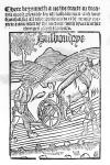 Man Ploughing a Field (woodcut) (b/w photo)