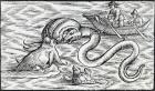 Sea monsters, 1511 (engraving)