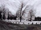 Westgrove, Looking Towards Blackheath, 1999 (paper mosaic collage)