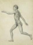The Entire Human Figure from the Left, lateral view, from the series 'A Comparative Anatomical Exposition of the Structure of the Human Body with that of a Tiger and a Common Fowl, 1795-1806 (graphite on paper)