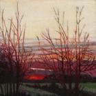 Winter's light, 2012, (oil on canvas)