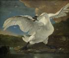 The Threatened Swan, c.1650 (oil on canvas)