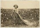 6-year old Warren Frakes with about 20 pounds of cotton in his bag at Comanche County, Oklahoma, 1916 (b/w photo)