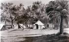 Lord Wolseley's Camp at Korti (litho) (b/w photo)