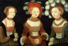 Three princesses of Saxony, Sibylla (1515-92), Emilia (1516-91) and Sidonia (1518-75), daughters of Duke Heinrich of Frommen, c.1535 (panel)