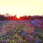 Farley sunset, 2012, (oil on canvas)