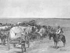 Ten Minutes Before the Great Rush, on the South Line of the Indian School Reserve, Near Arkansas City, 16th September 1893 (engraving) (b/w photo)