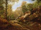 Pines and Birch Trees or, The Forest of Fontainebleau, c.1855-57 (oil on panel)