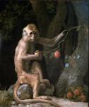 Portrait of a Monkey dated 1774