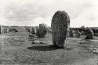 Alignment of Standing Stones, Megalithic, 4th-3rd millennium BC (stone) (b/w photo)