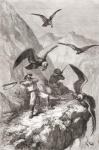 douard Fran̤ois Andr̩ and companion being attacked by condors near Calacali, Pichincha Province, Ecuador, during his botanising expedition in the foothills of the Andes in 1875-76 (engraving)