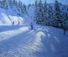 Morzine, ski run (oil on canvas)
