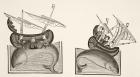 Navigators mistake a whale's back for an island, after a miniature in Richard de Fournival's 'Bestiarire d'Amour', from 'Science and Literature in the Middle Ages', by Paul Lacroix, 1878 (litho)