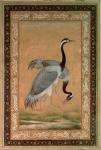Cranes by Mansur, Jahangir Period, Mughal, 1775