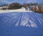 Shadow of Sledger, 2008 (oil on canvas)