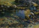 Alpine Pool, 1907 (oil on canvas)