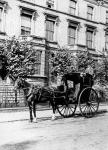 Hansom Cab (b/w photo)