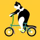 Cat on a Brompton Bike